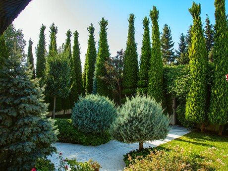 9 otaqlı həyət evi/bağ evi - Buzovna q. - 700 m²