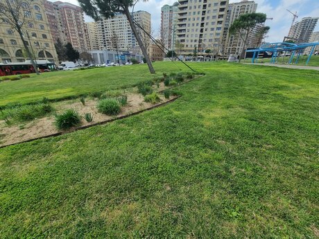 3 otaqlı yeni tikili - Nəriman Nərimanov m. - 127 m²