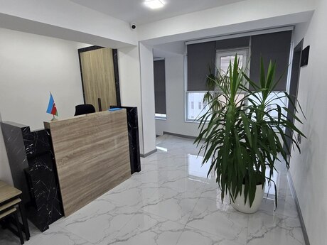 6 otaqlı ofis - Nizami m. - 190 m²
