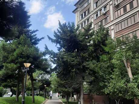2 otaqlı köhnə tikili - 8-ci mikrorayon q. - 43 m²