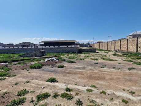 Elan №6005696 - Bakı, Binə q., 80 sot