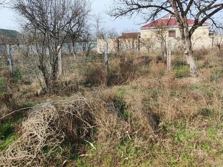 Satılır torpaq 6 sot, Şirvan