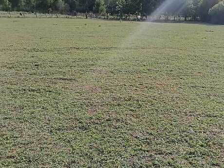 Elan №6006486 - Şamaxı, Şamaxı, 276 sot