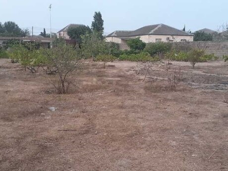 Elan №6006494 - Şamaxı, Şamaxı, 17 sot