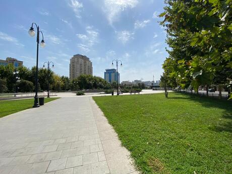 Elan №5788657 - Bakı, 28 May m., 1 otaqlı, 30 m², 2/3 mərtəbə