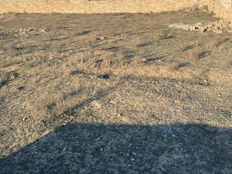 Объявление №6007113 - Баку, пос. Дюбенди, 10 сот