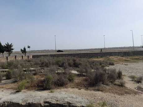 Elan №6007128 - Bakı, Qala q., 64 sot