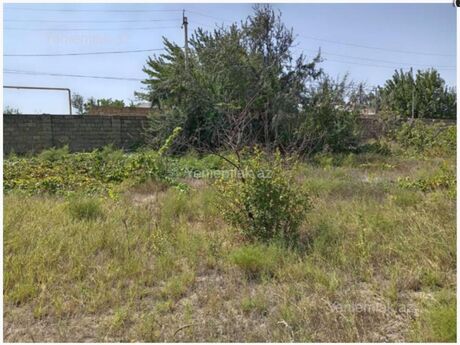 Elan №6007658 - Bakı, Lökbatan q., 5 sot