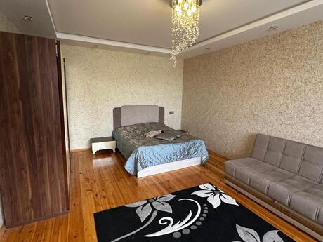 7 otaqlı həyət evi, 500 m², Əhmədli: 500 000 ₼ 5