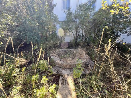 5 otaqlı həyət evi/bağ evi - Şamaxı - 164 m²