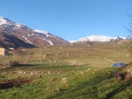 Объявление №6010280 - Гусар, Гусар, 8 сот