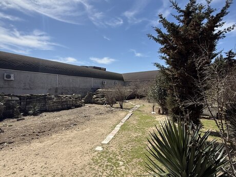 Объявление №6010458 - Баку, пос. Шувеляны, 8 сот