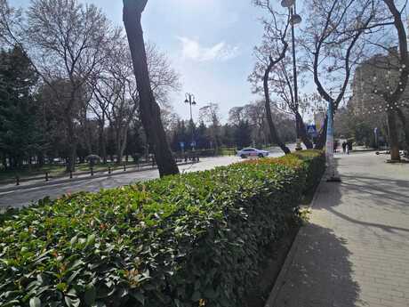 Elan №6011230 - Bakı, Nəsimi r., 73 m²