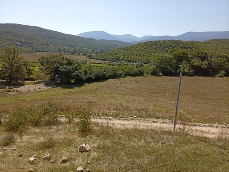Quba