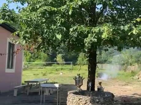 3 otaqlı həyət evi/bağ evi - Lerik - 90 m²