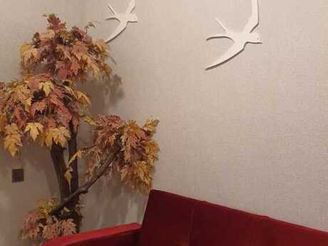 Kirayə 2 otaqlı mənzil, 50 m², Sahil: 1 000 ₼/ay 4