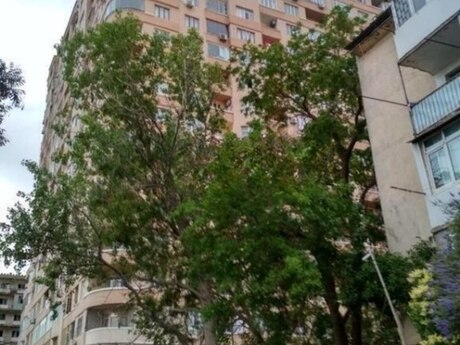 4 otaqlı yeni tikili - Elmlər Akademiyası m. - 156 m²