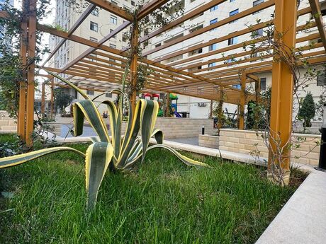 4 otaqlı yeni tikili - Nərimanov r. - 175 m²