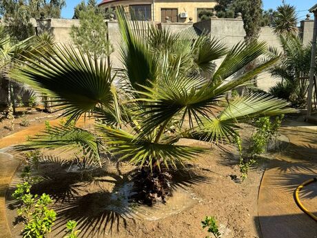 Объявление №6017610 - Баку, пос. Мардакан, 3-комн., 100 м²