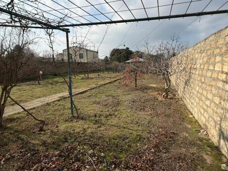 Объявление №6018486 - Баку, пос. Фатмаи, 25 сот