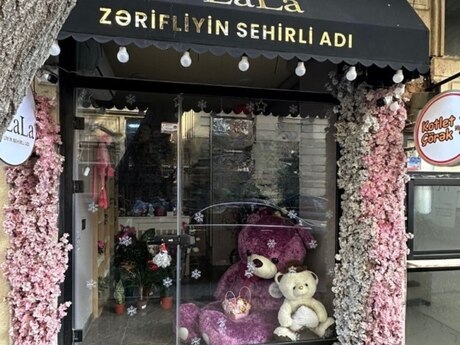 Объявление №6016999 - Баку, м. Низами, 14 м²