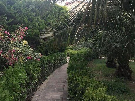 5 otaqlı həyət evi/bağ evi - Bilgəh q. - 500 m²
