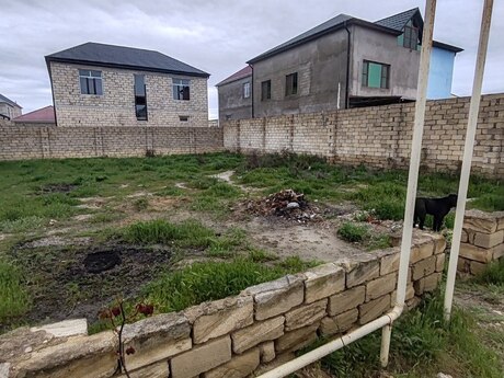 Объявление №6020060 - Баку, пос. Говсан, 4 сот