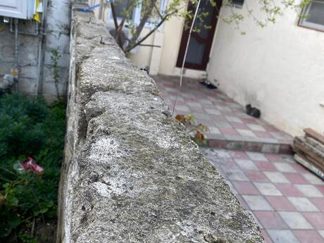 10 otaqlı həyət evi/bağ evi - Nəsimi m. - 500 m²