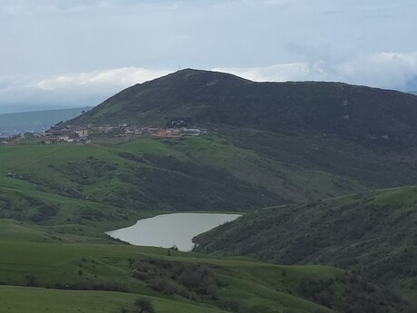 Torpaq - Şamaxı - 12 sot