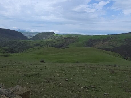 Torpaq - Şamaxı - 12 sot