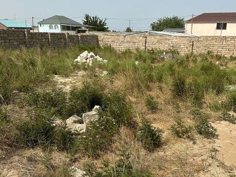 Объявление №6020894 - Баку, пос. Дюбенди, 4 сот