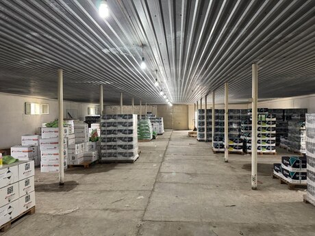 Obyekt - Sumqayıt - 1150 m²