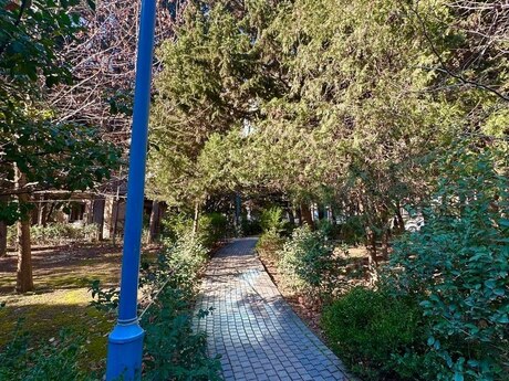 3 otaqlı köhnə tikili - Azadlıq Prospekti m. - 85 m²