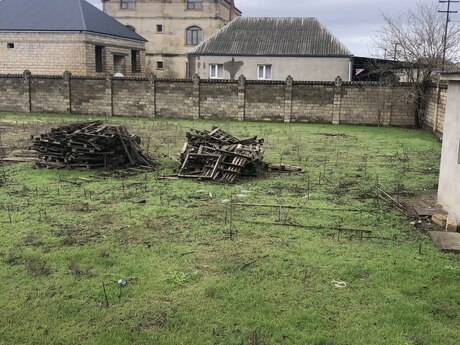 Elan №6022407 - Bakı, Mehdiabad q., 25 sot