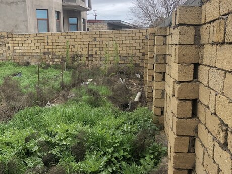 Объявление №6023019 - Баку, пос. Мехтиабад, 10 сот