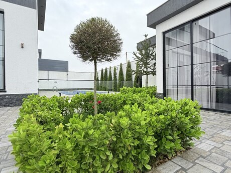 6 otaqlı həyət evi/bağ evi - Bilgəh q. - 350 m²