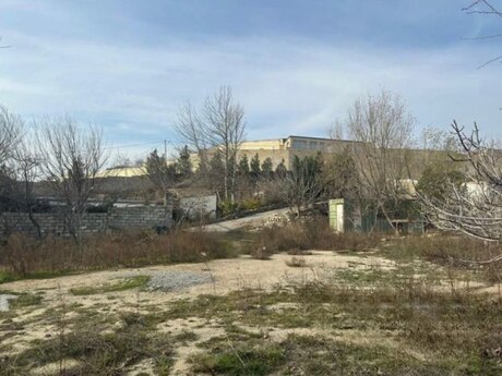 Объявление №6023598 - Баку, пос. Бадамдар, 12 сот