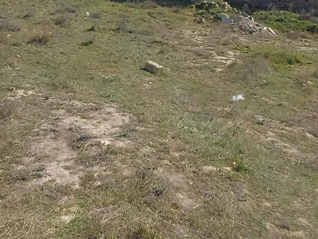 Объявление №6023747 - Баку, пос. Зых, 2 сот