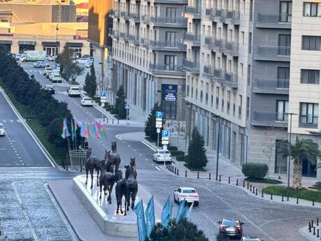 2 otaqlı yeni tikili - Ağ şəhər q. - 90 m²