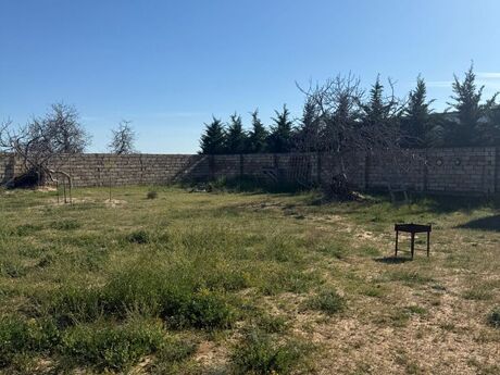 Объявление №6025025 - Баку, пос. Нардаран, 6 сот