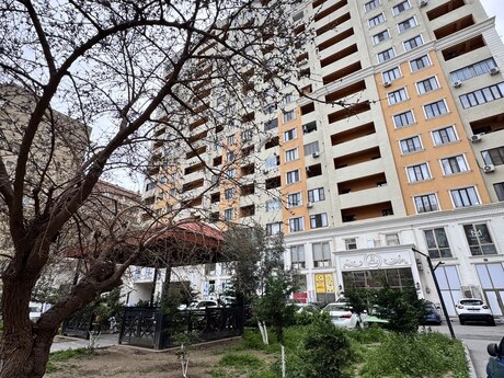 м. Элмляр Академиясы