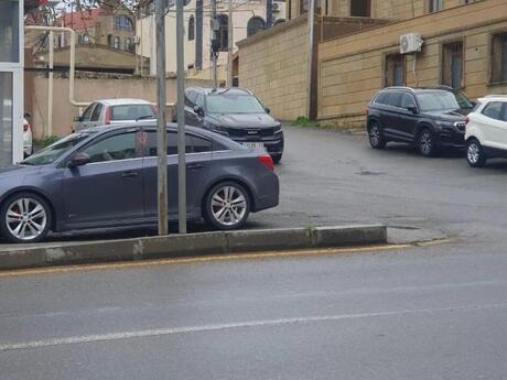 Объявление №5988063 - Баку, пос. Бадамдар, 1085 м²