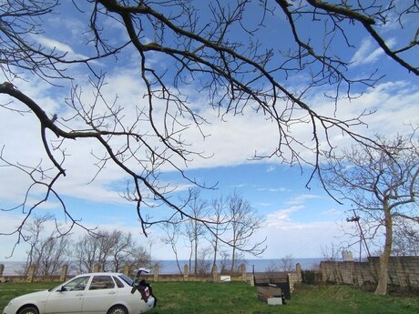 Elan №6026319 - Xaçmaz, Xaçmaz, 20 sot