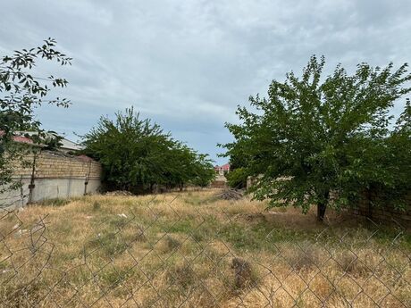 Elan №6027505 - Bakı, Novxanı q., 10 sot