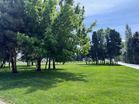 3 otaqlı yeni tikili - Nəriman Nərimanov m. - 120 m²