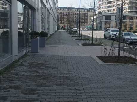 Объявление №6027709 - Баку, м. Шах Исмаил Хатаи, 317 м²