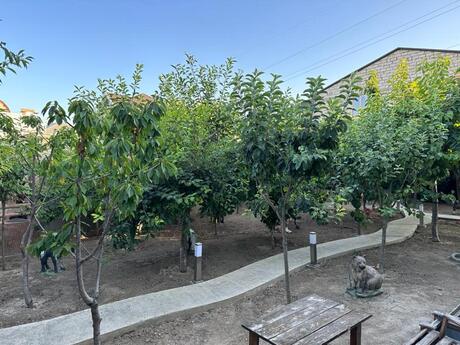 5 otaqlı həyət evi, 200 m², Şağan: 380 000 ₼ 5
