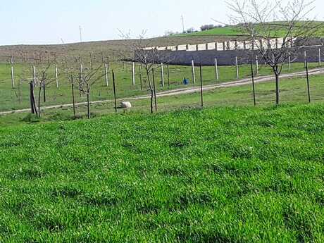 Satılır torpaq 12 sot, Qusar
