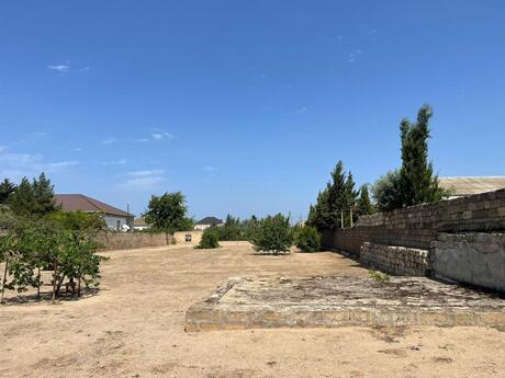 Elan №6029722 - Bakı, Bilgəh q., 25 sot