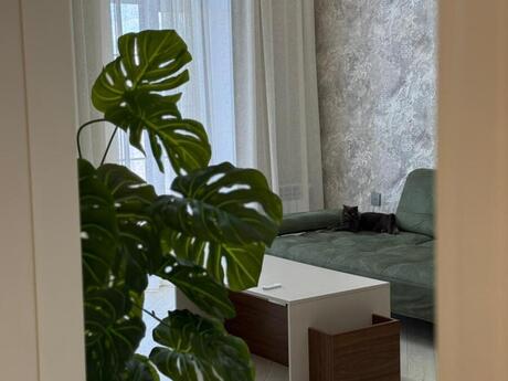 House with Garden, Villa For Rent